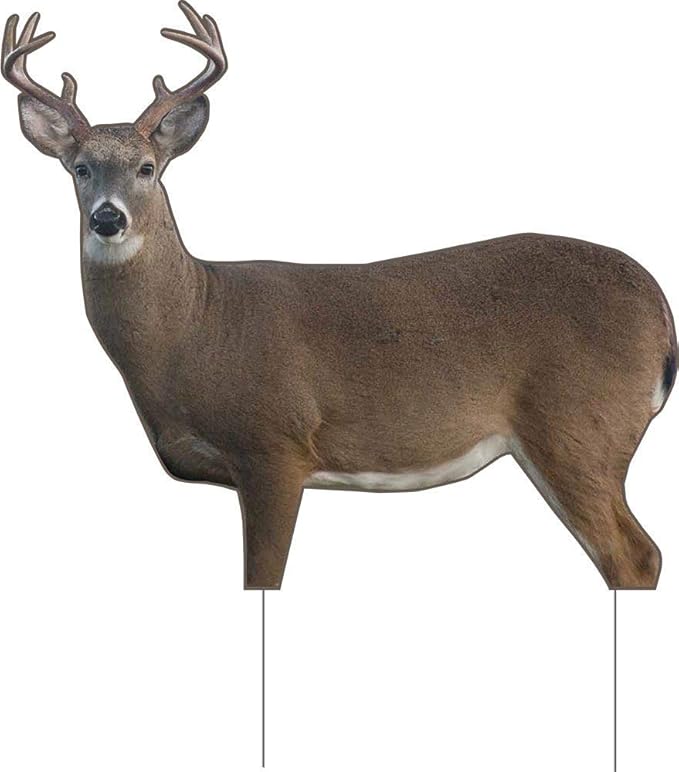 61Kwmw8SJjL._AC_SX679_